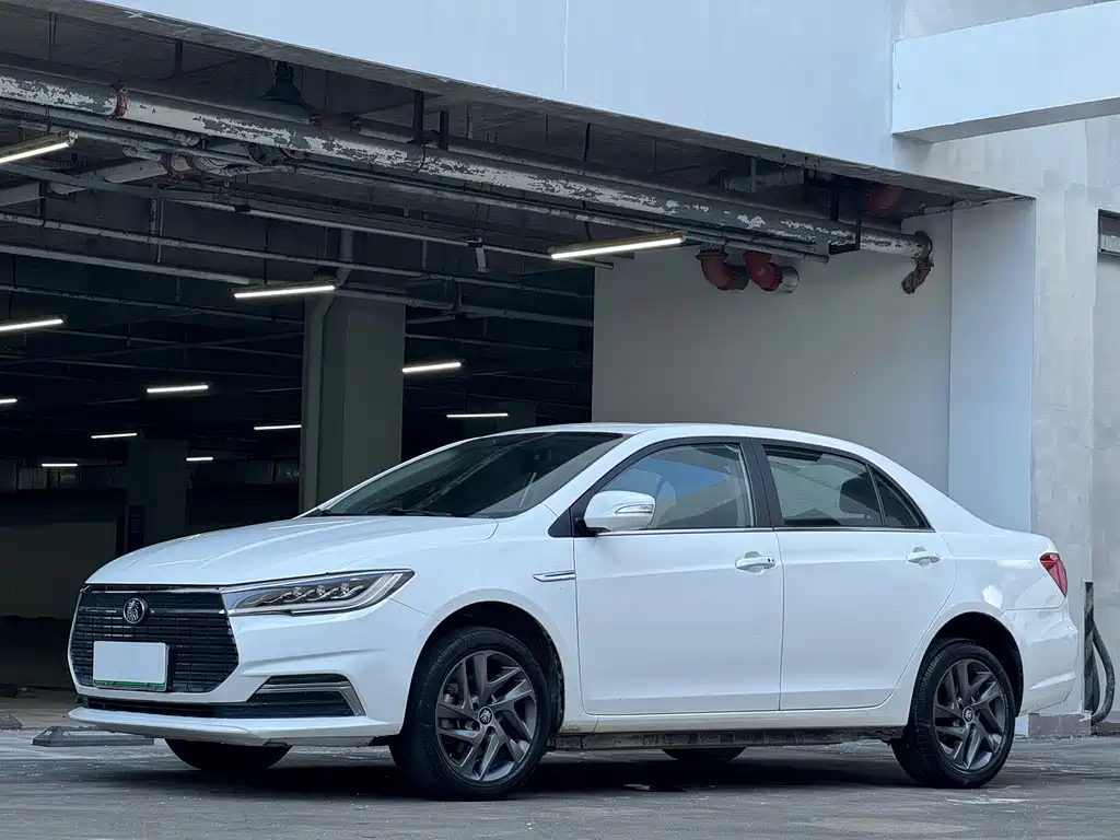 Роскошная версия Qinxin Energy 2019 с длительным сроком службы батареи