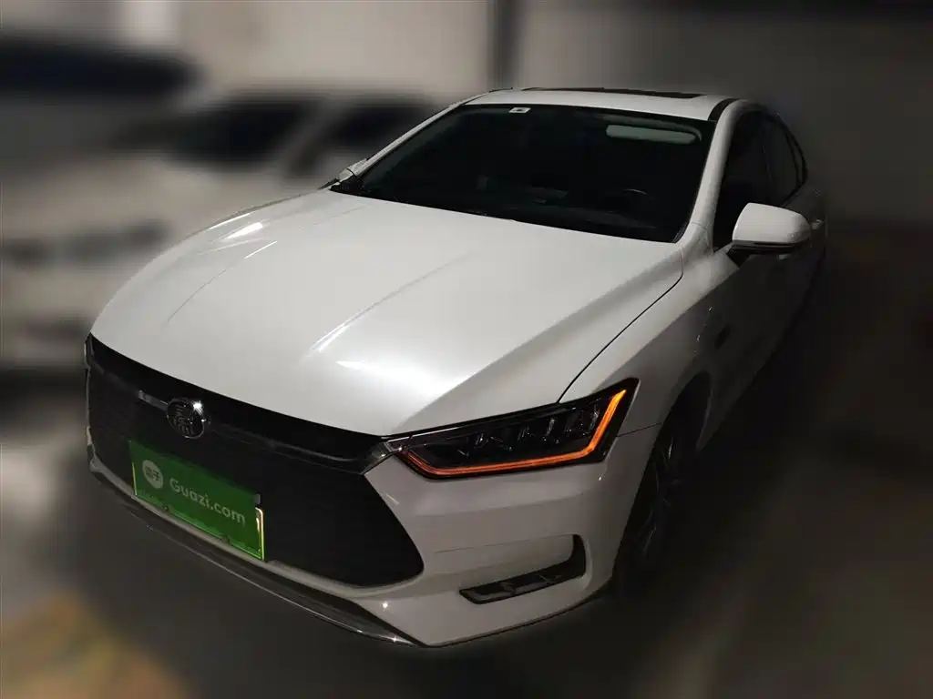 Qin Pro New Energy 2019 EV Super Edition Стандартное издание Zhilian Lingshang Type