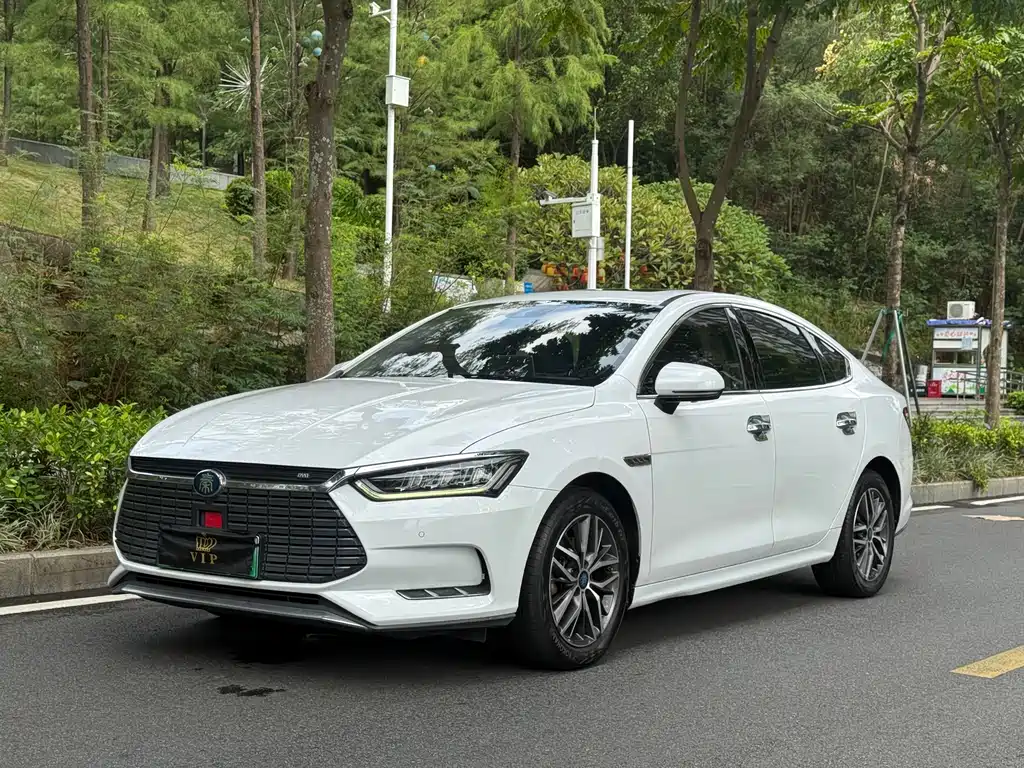 Qinling New Energy 2019 EV Super-версия мощного интеллектуального канала связи ведущего типа