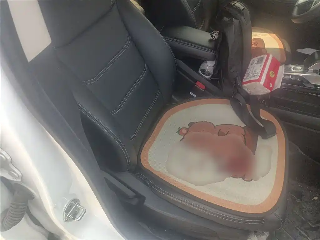 Фото машины 10