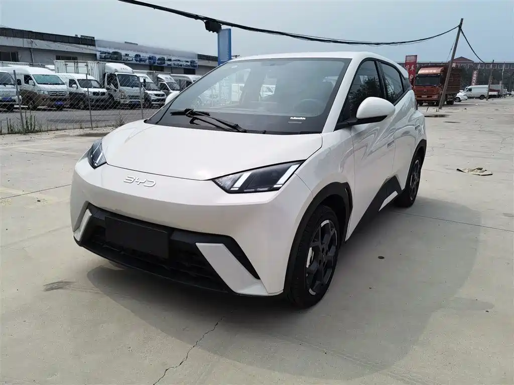 Seagull 2025 305KM Free Version