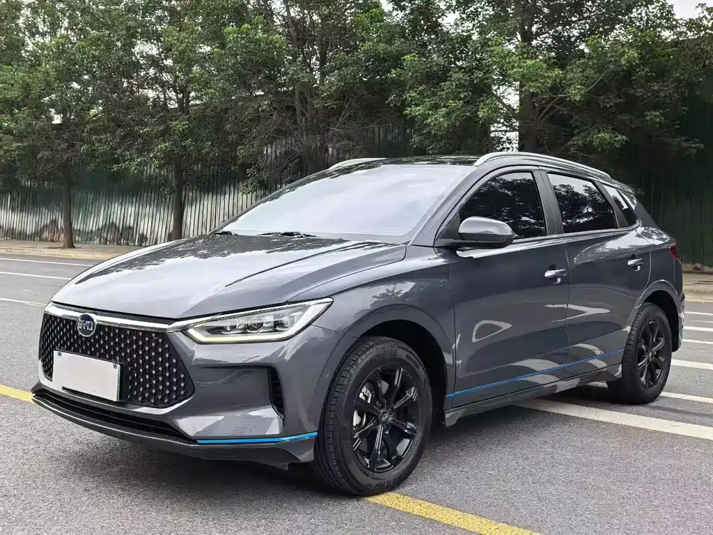 BYD e2 2020 Upgrade High Range Premium