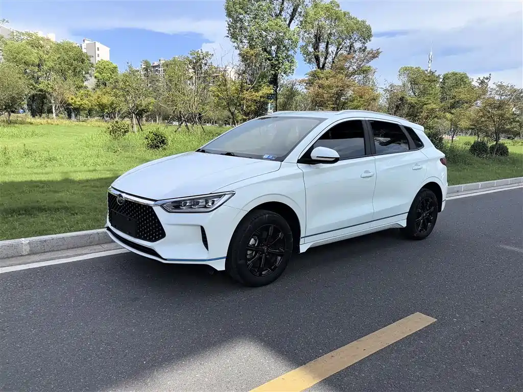 BYD e2 2021 Luxury