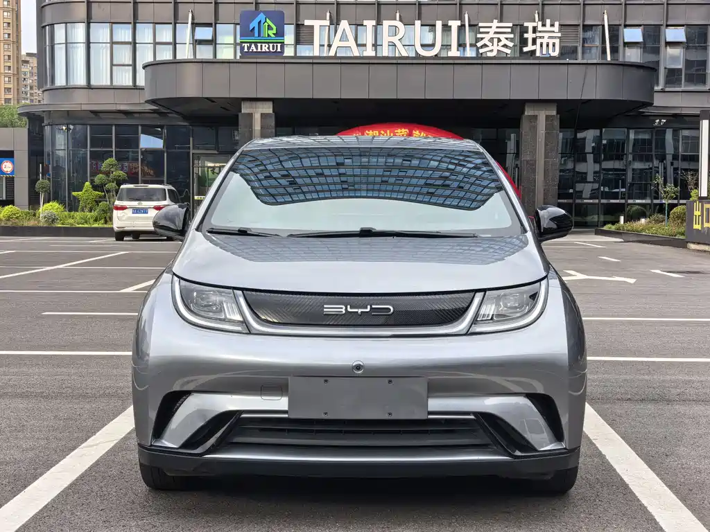 Бесплатная версия Dolphin 2023 на 420 км