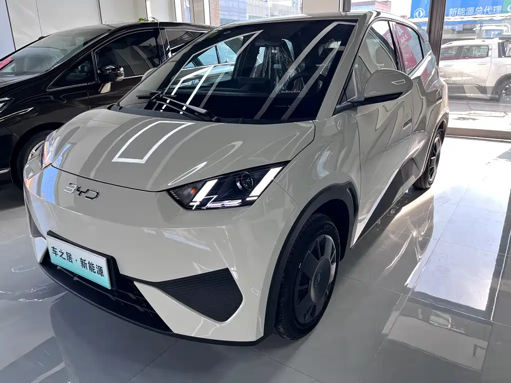 Seagull 2025 Smart Driving Version 305KM Vitality Version