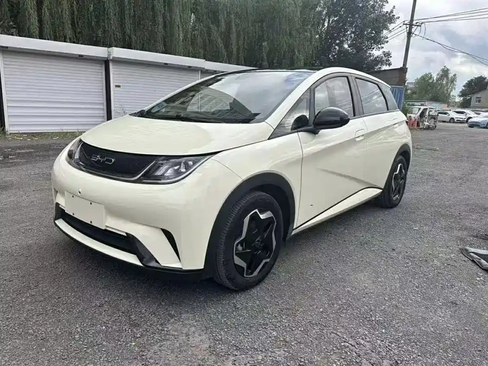 Модная версия Dolphin 2021 длиной 405 км