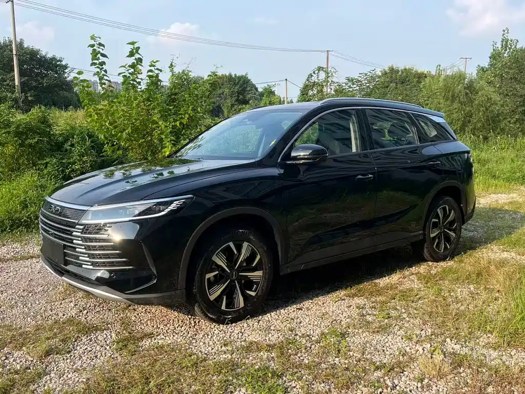 Морской лев 05 DM-i 2025 DM-i 115 КМ Honor Type