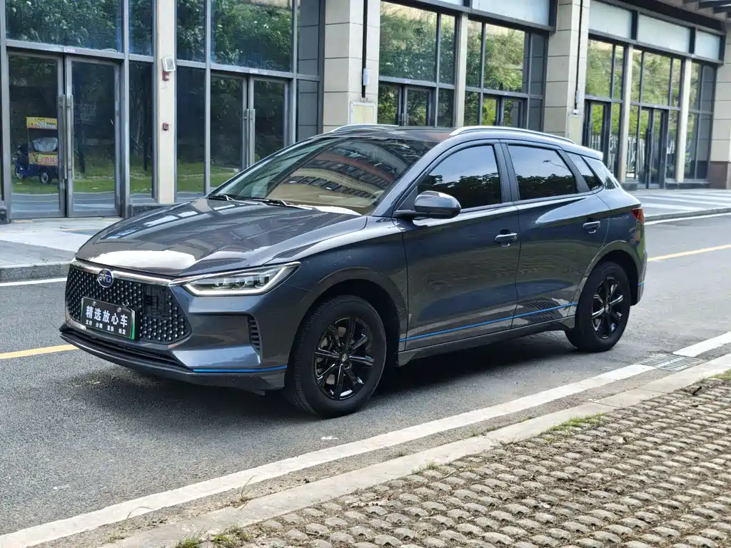 BYD e2 2019 High Range Edition Yew-Luxury