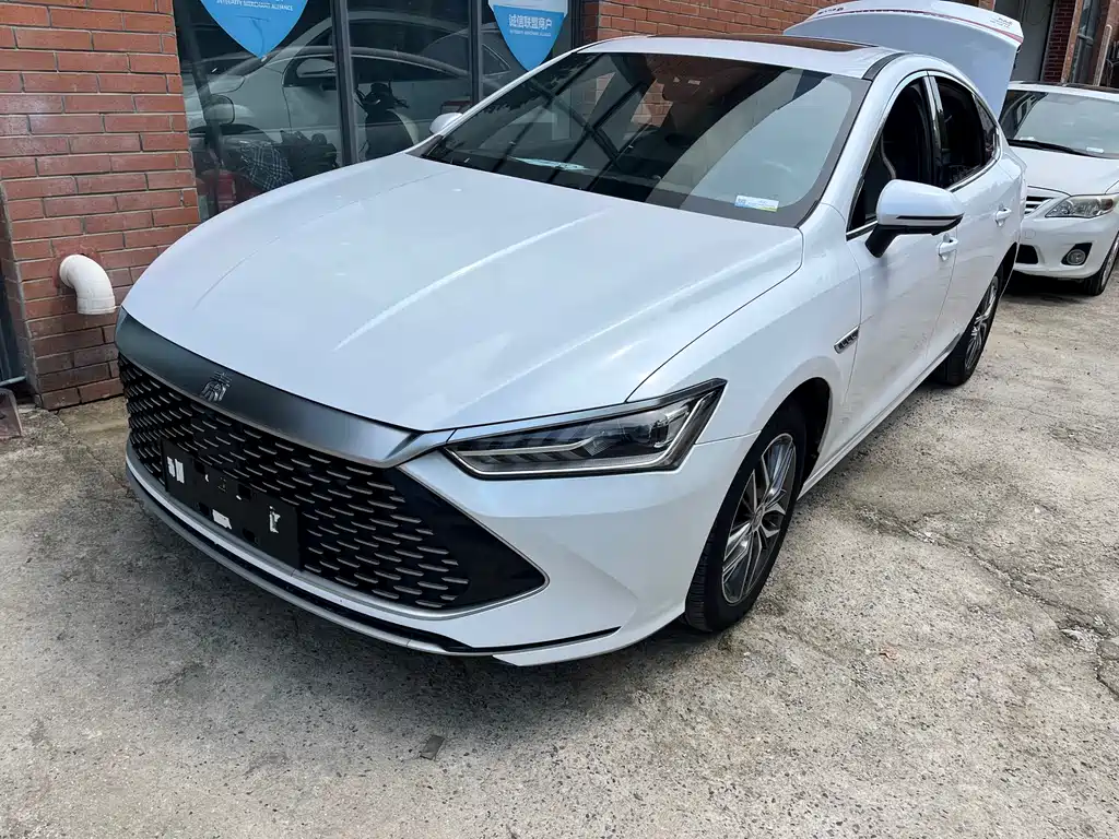 Qin PLUS 2023 Champion Edition DM-i 120 КМ трансцендентного типа