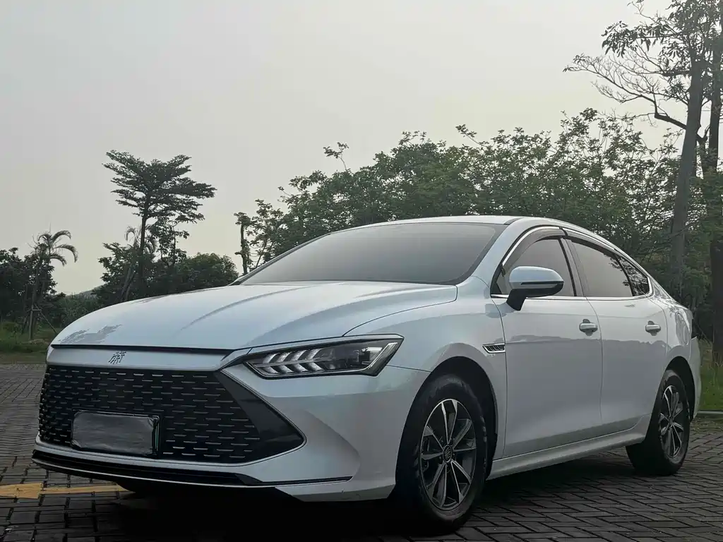 Qin PLUS 2023 Чемпионская версия DM-i лидирующего типа на 55 км