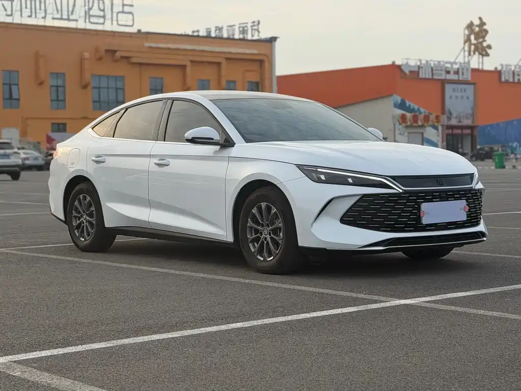Qin L 2024 DM-i 80-километровый ведущий тип
