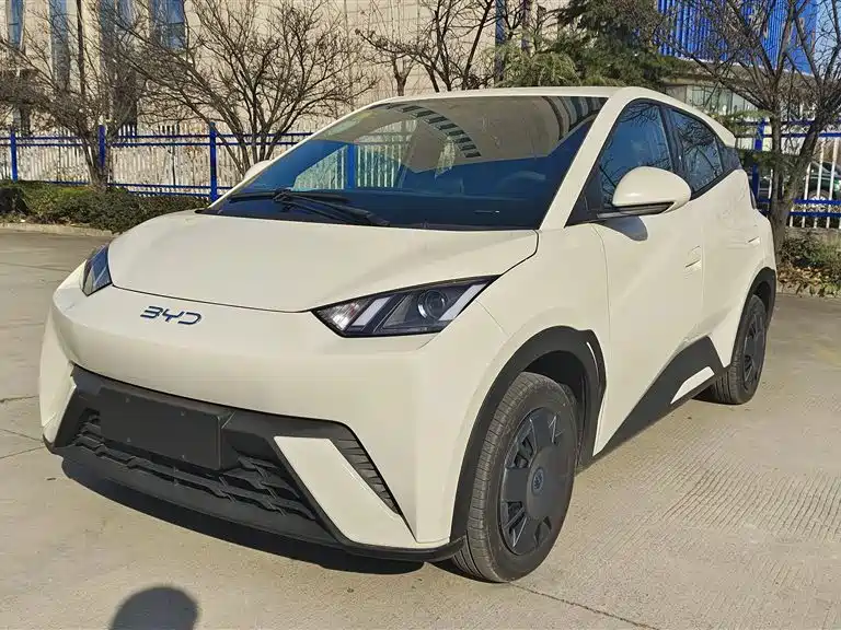Seagull 2025 305KM Vitality Edition