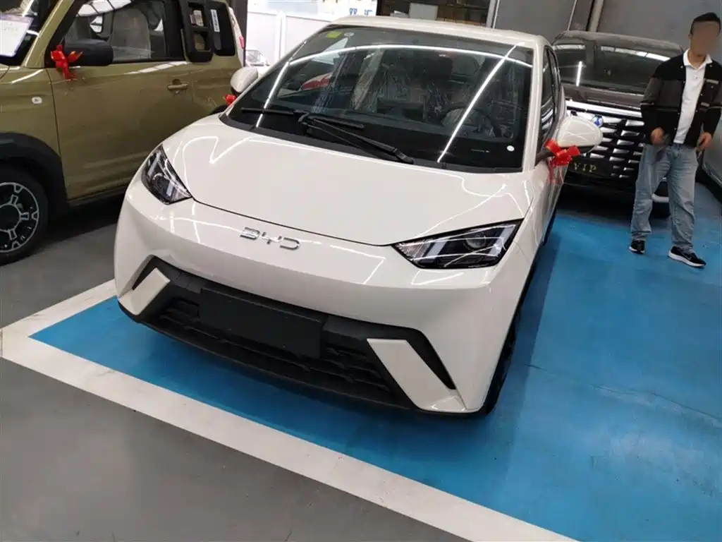 Seagull 2025 305KM Vitality Edition