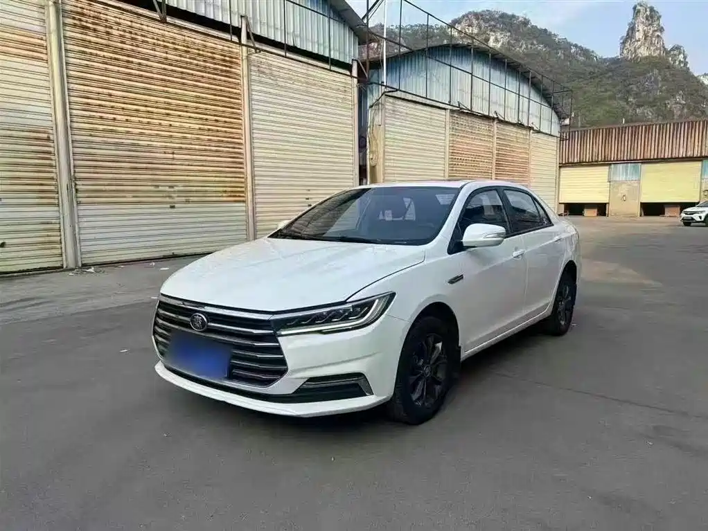 Qin 2019 1.5L manual Luxury