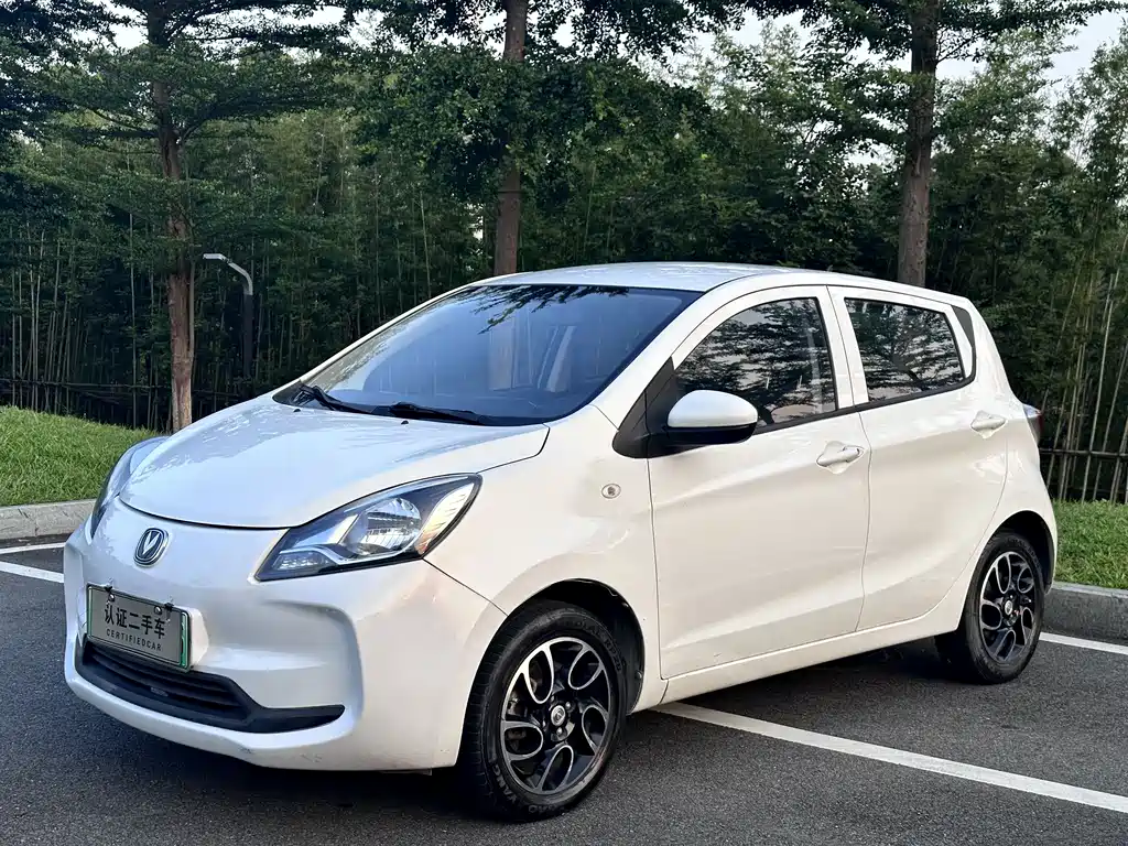 Benben EV 2019 facelift EV360 standard type