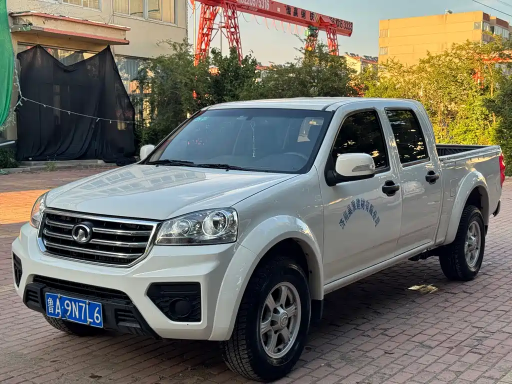Fengjun 5 2020 2,0-тонный дизельный полноприводный элитный большой двухрядный national VI GW4D20M