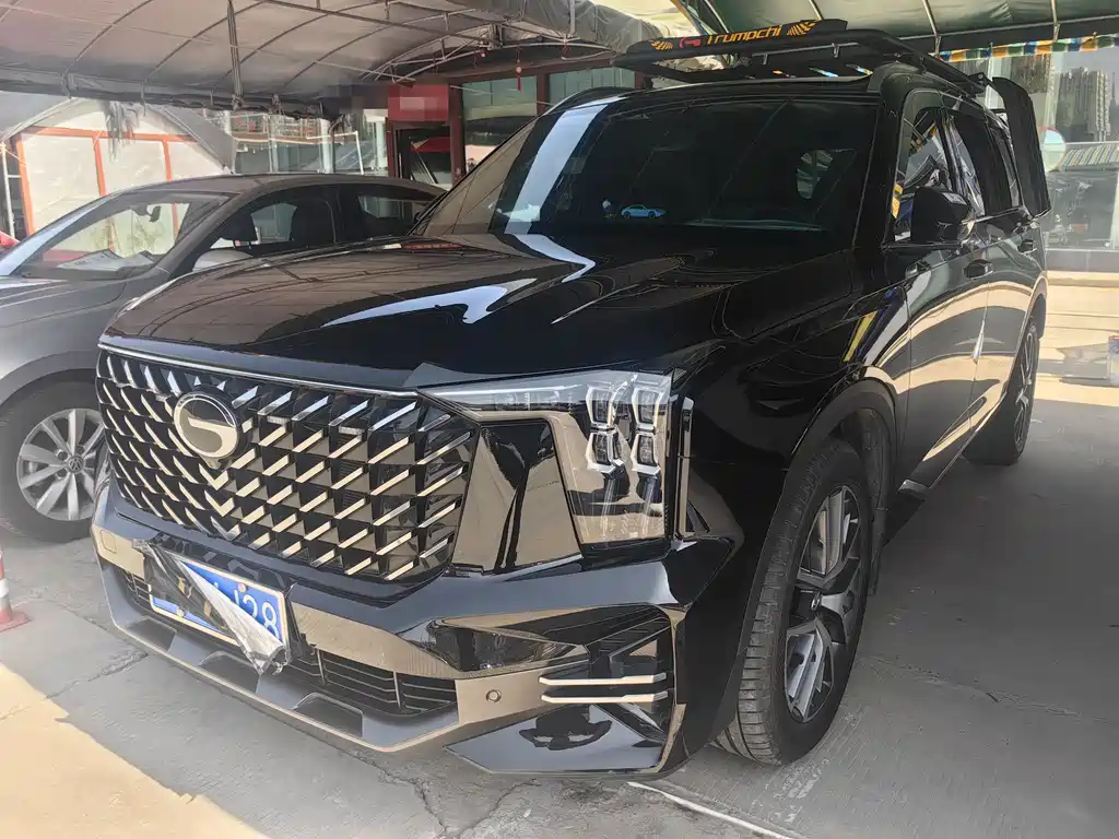 Trumpchi GS8 2024 Pilot Series 2.0 TGDI two-wheel drive luxury Smart Edition