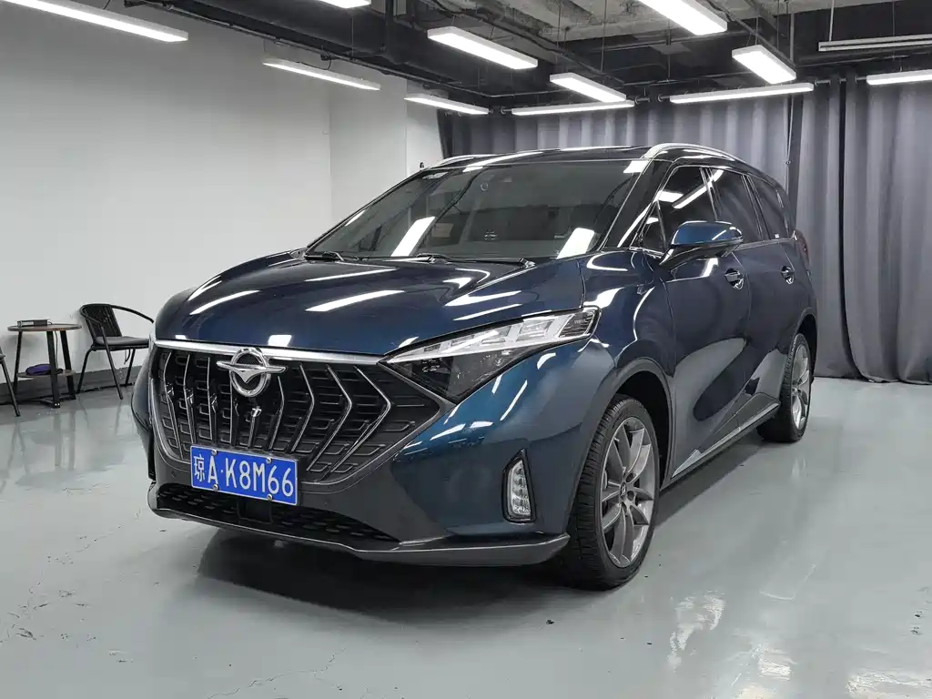 Seahorse 7X 2020 1.6 TGDI автоматический флагманский тип