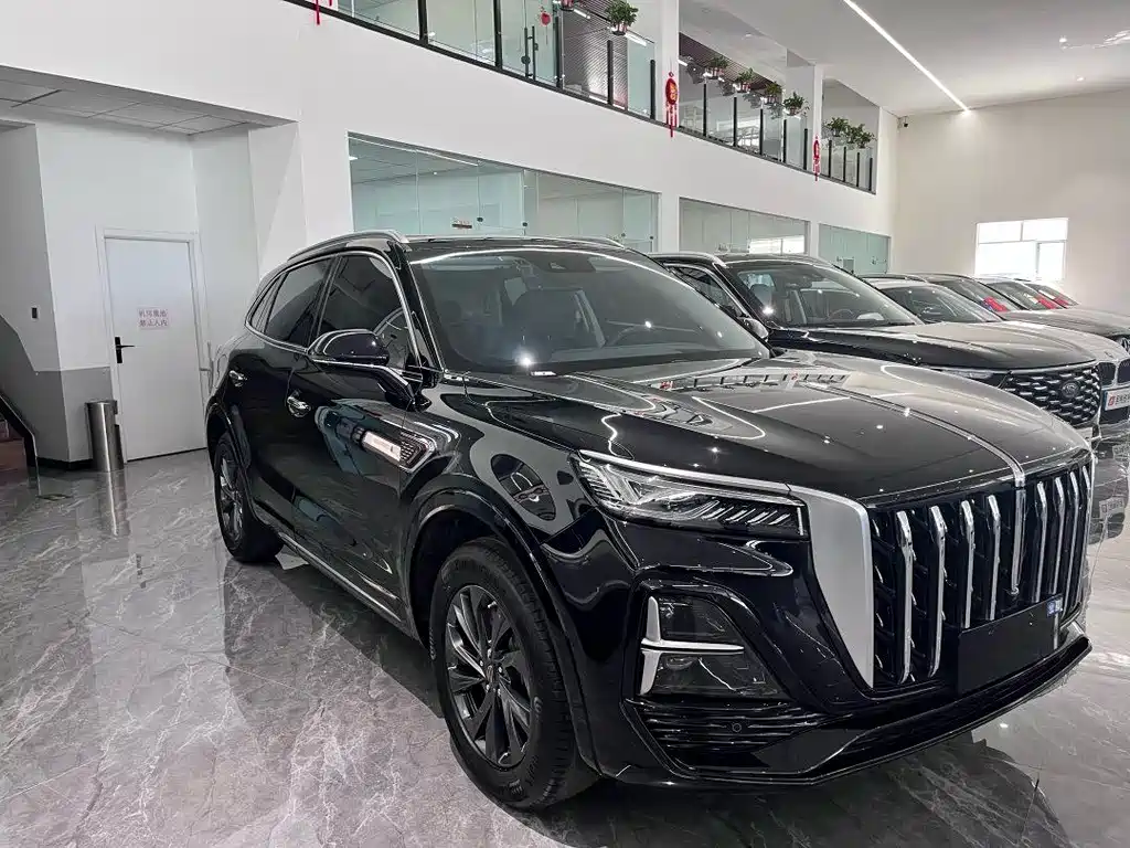 Hongqi HS5 2023 2.0T Qixiang Pro 500,000 Commemorative Edition