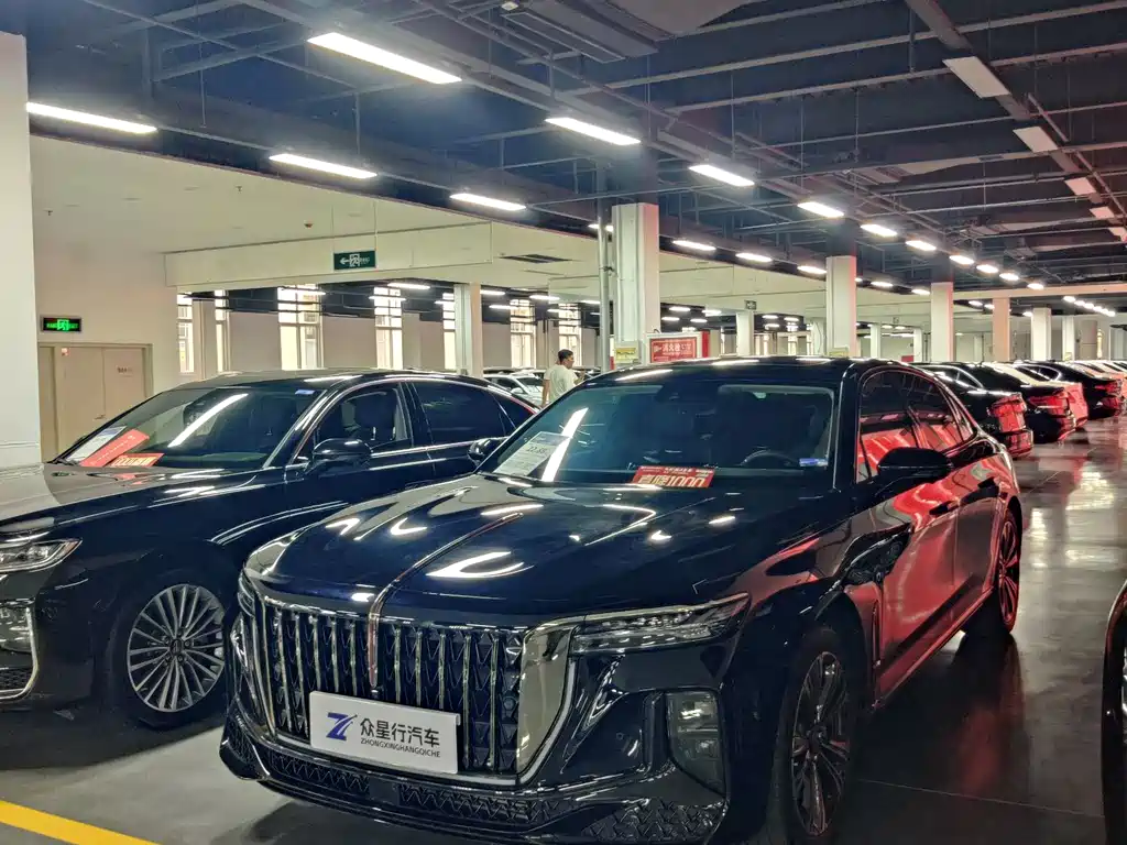 Hongqi H9 2024 2.0T Flag Enjoy Private Fashion Edition