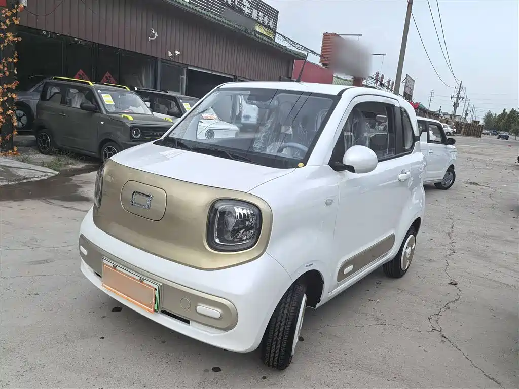 Pentium Pony 2025 222km Smart Horse