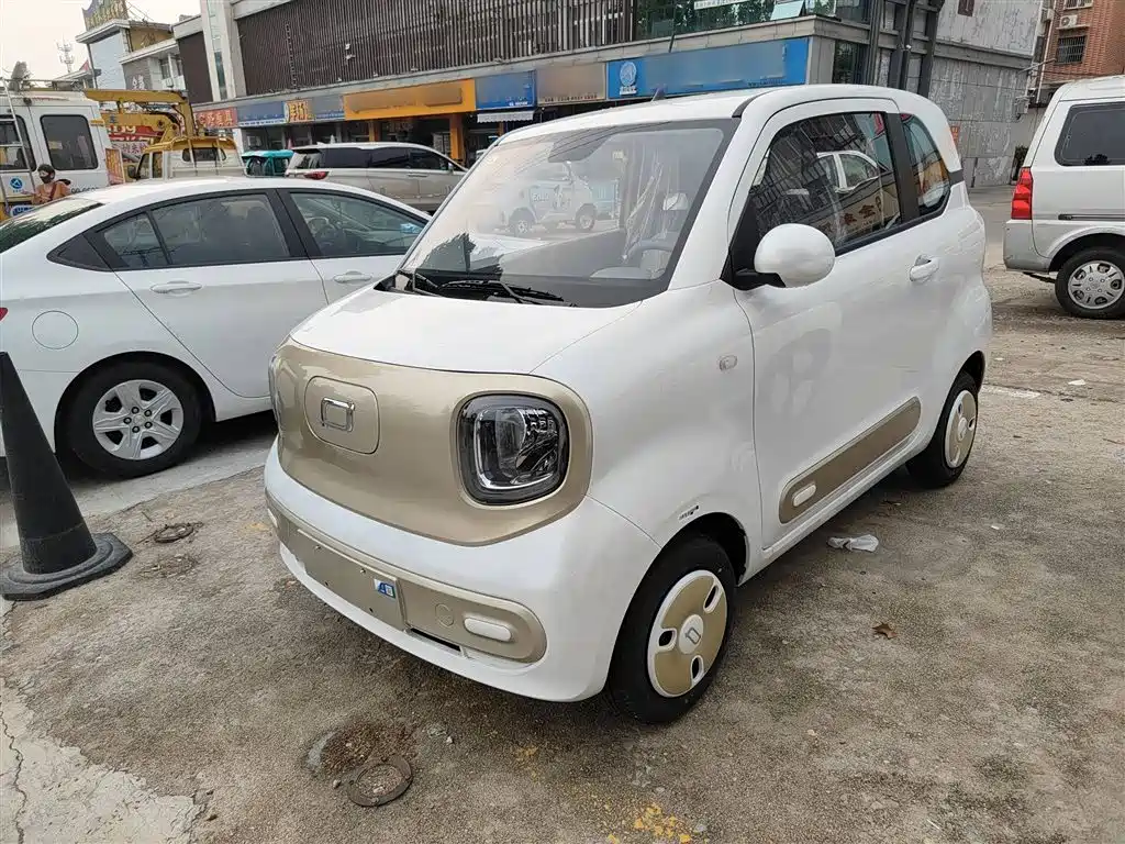 Pentium Pony 2025 222km Smart Horse