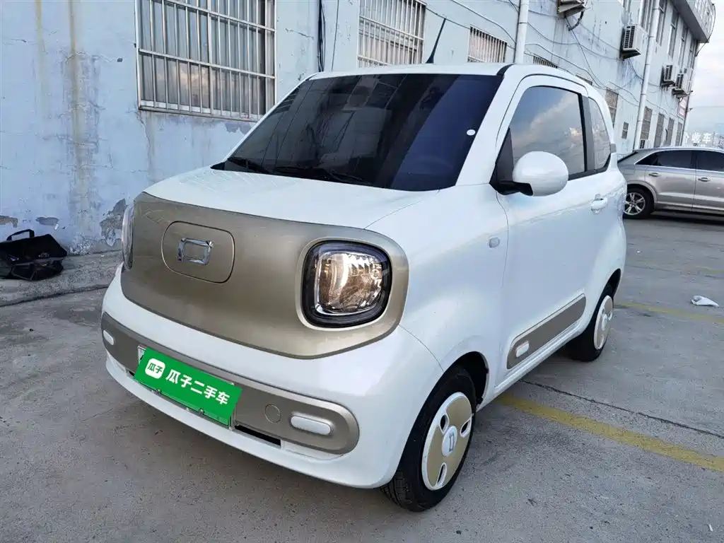 Pentium Pony 2025 222km Smart Horse