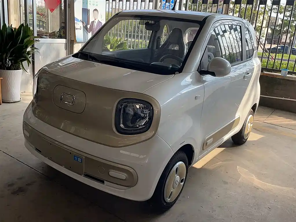 Pentium Pony 2025 222km Smart Horse