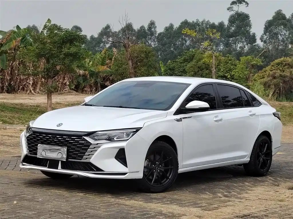 Yixuan MAX 2024 1.5T Deluxe Edition