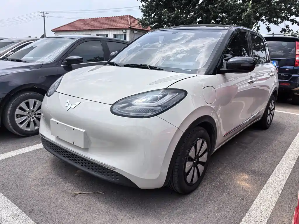 Wuling Colorado 2023 333KM Master Mind Connection Model