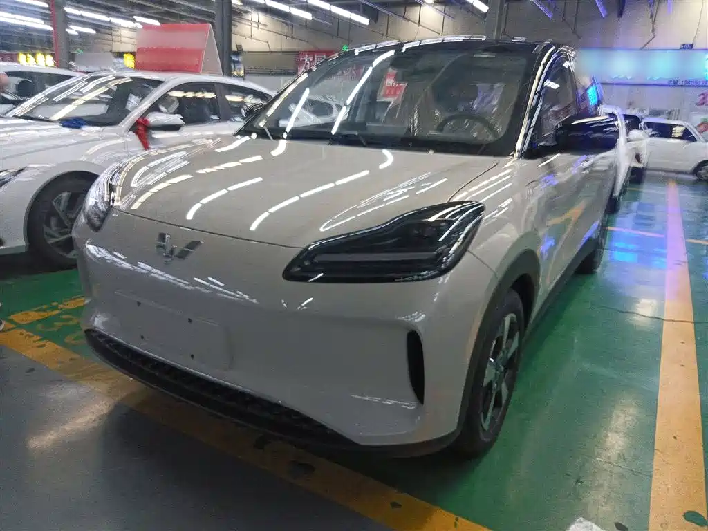 Wuling Bingguo PLUS 2024 330km five-seater version