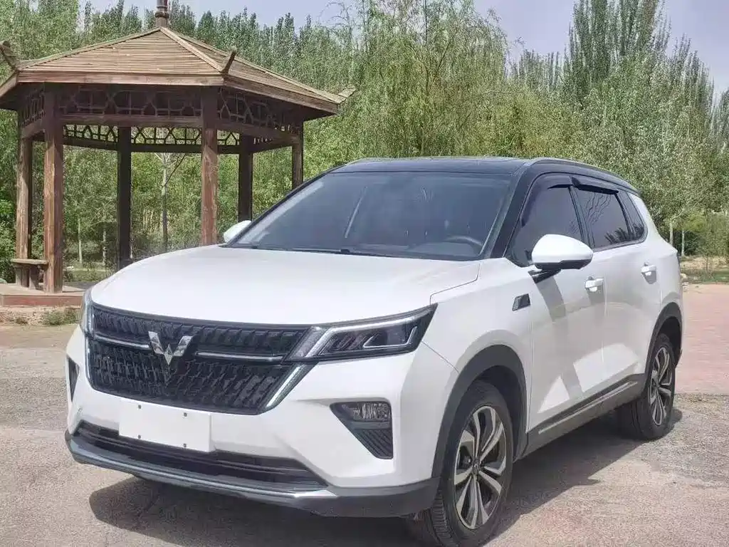 Wuling Xingchen 2022 Model 2.0L DHT Electric Speed Model