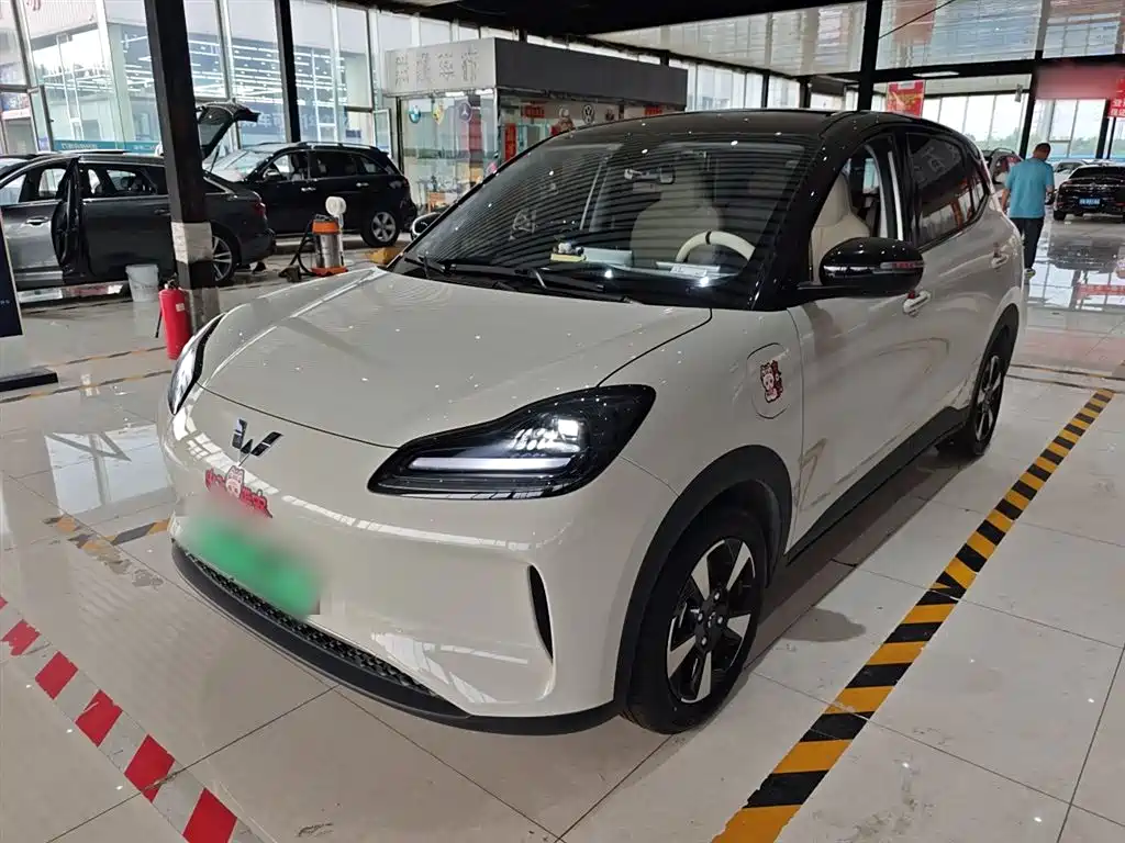 Wuling Bingguo PLUS 2024 330km five-seater version