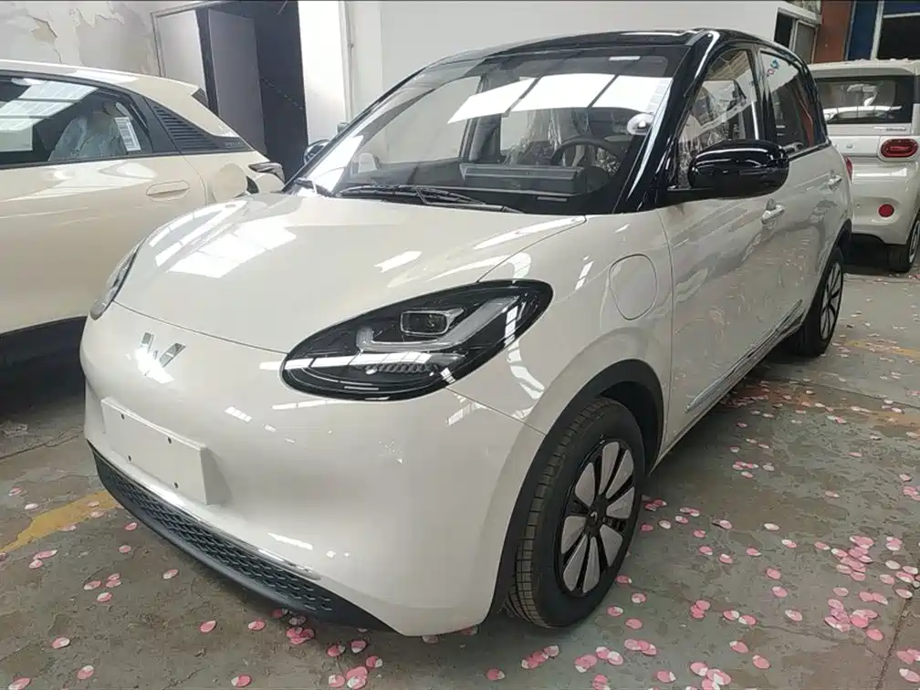 Wuling Bingguo 2024 Model 333KM Yuexiang Model