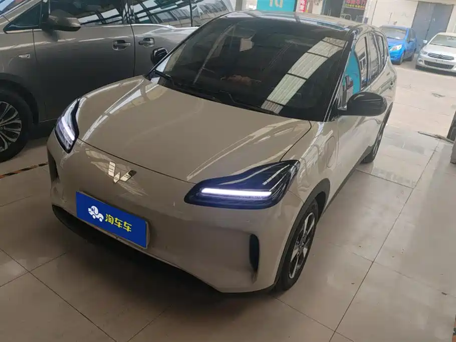 Wuling Bingguo PLUS 2024 510km five-seater version