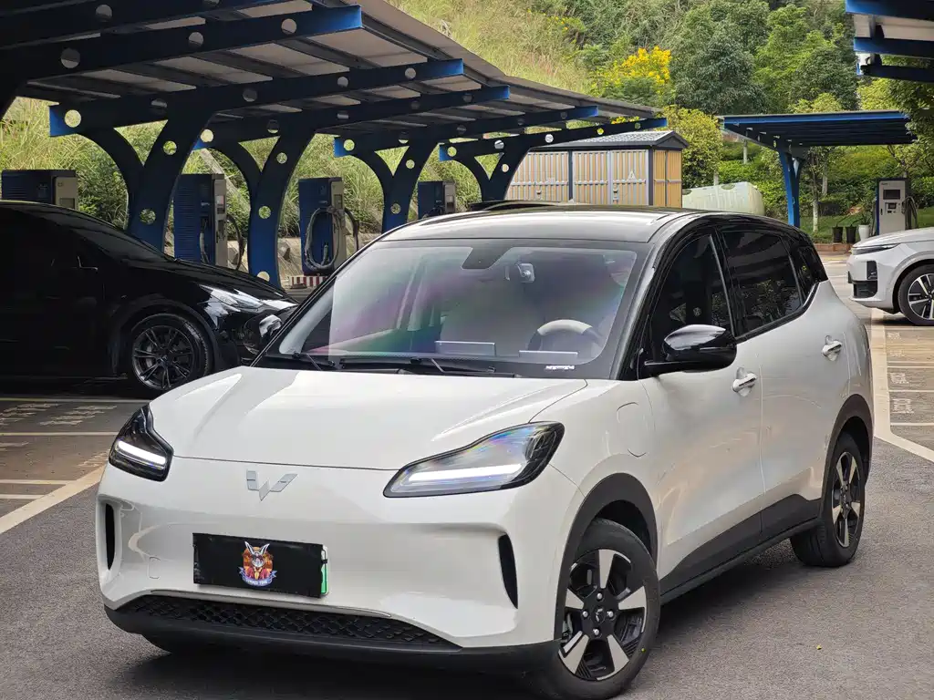 Wuling Bingguo PLUS 2024 401km five-seater version