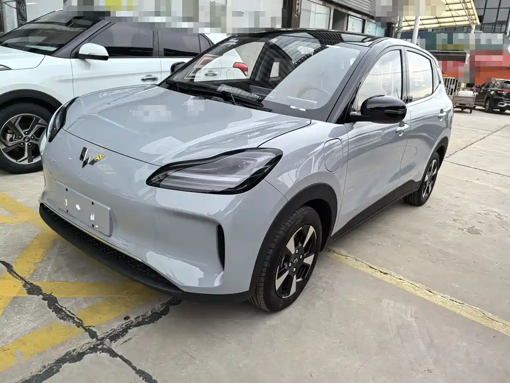 Wuling Bingguo PLUS 2024 330km five-seater version
