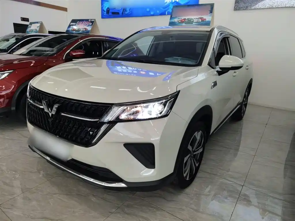 Wuling Xingchen 2022 Model 2.0L DHT Electric Power Model