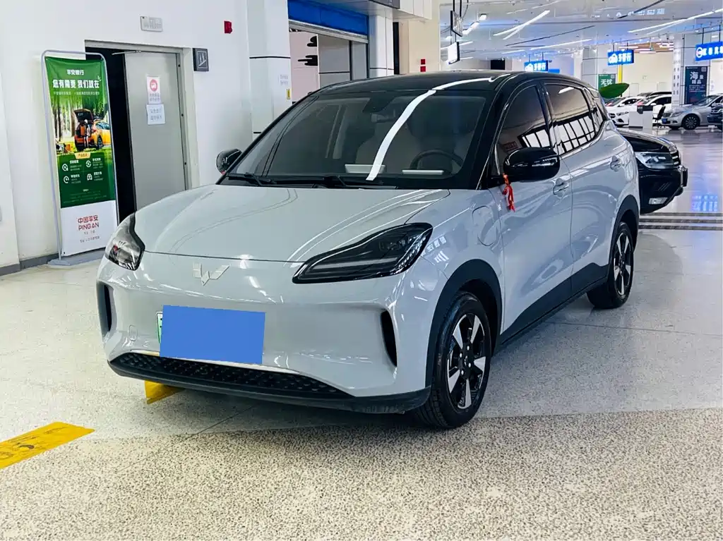 Wuling Bingguo PLUS 2024 330km five-seater version