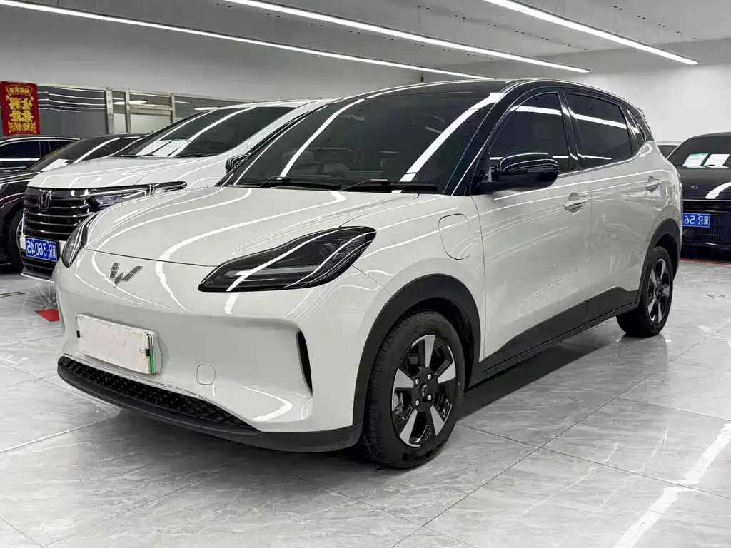 Wuling Bingguo PLUS 2024 510km five-seater version