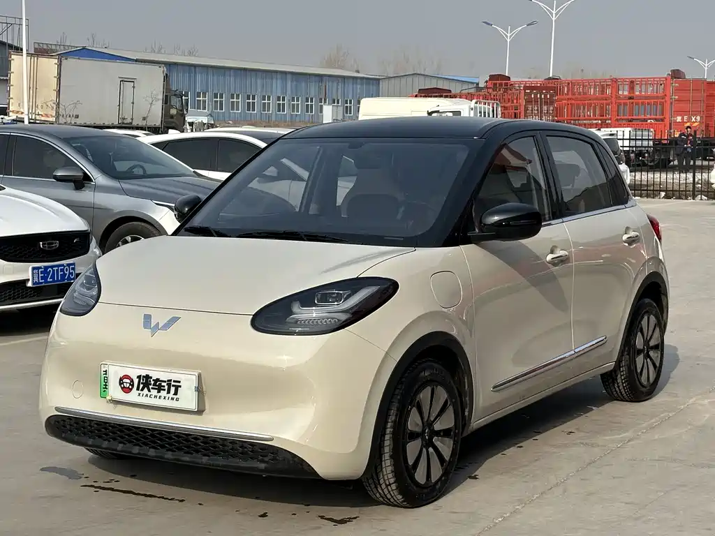 Wuling Bingguo 2024 Model 333KM Yuexiang Model