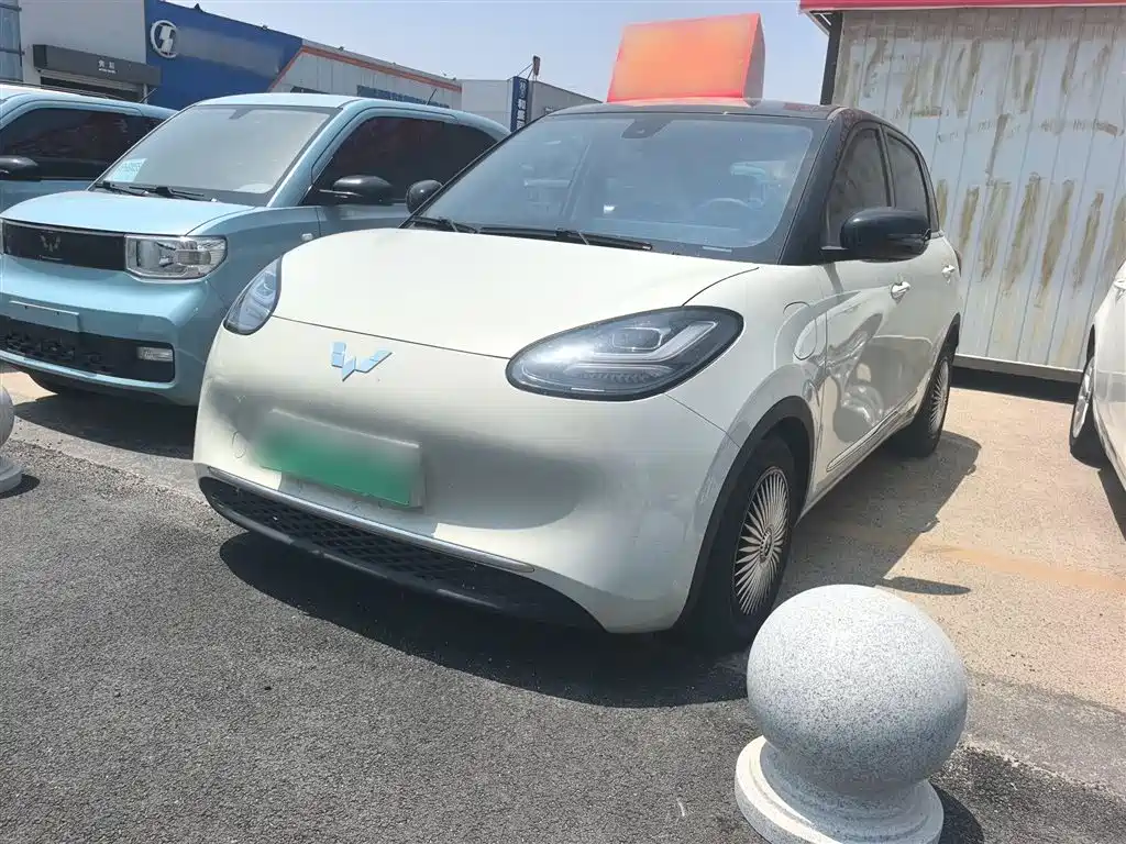 Wuling Colorado 2023 333KM Master Mind Connection Model