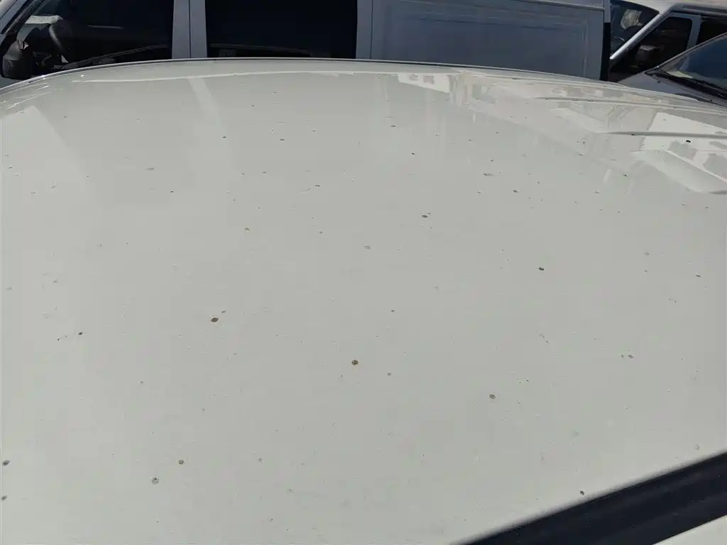 Фото машины 30