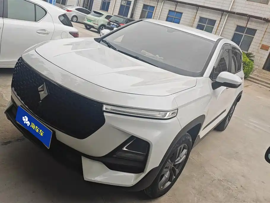 Baojun RS-5 2019 1.5T manual Super Interconnected version Country VI