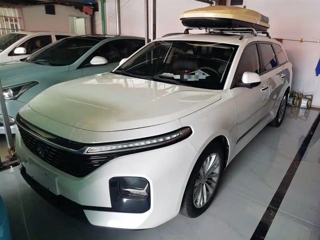 Baojun Valli 2021 1.5T Yili Ranch CVT Luxury