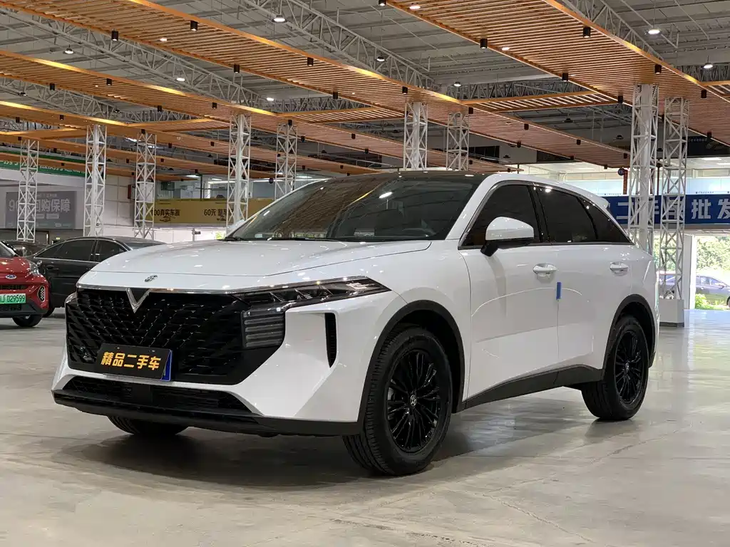 Qichen Big V 2023 260T Aidoo Edition Pro