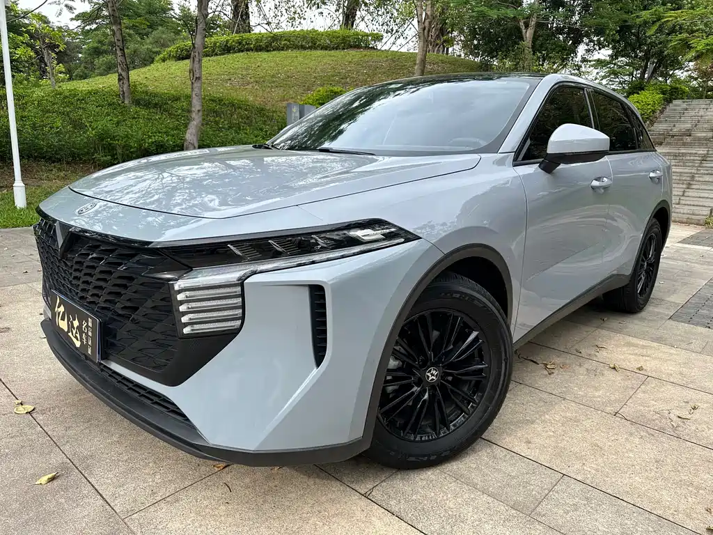 Qichen Big V 2023 260T Aidoo Edition Pro