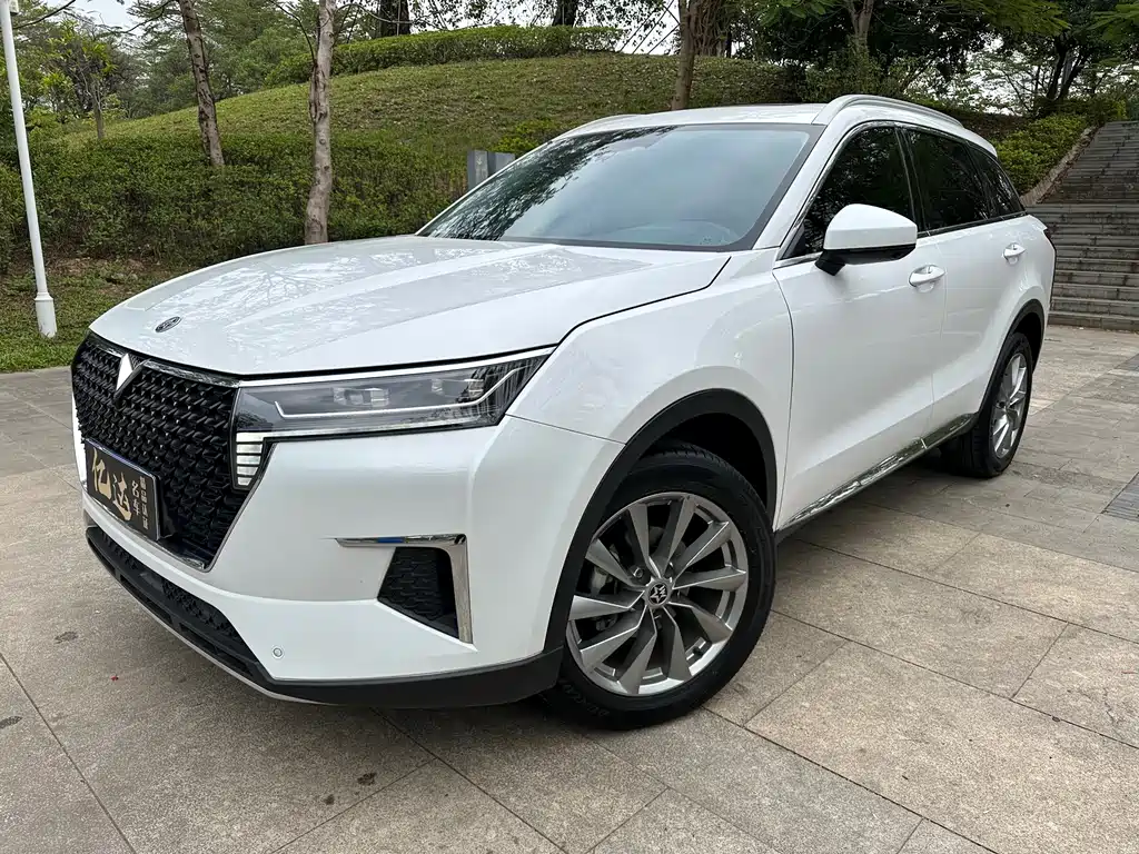 Qixing 2023 260T Star Plus Pro
