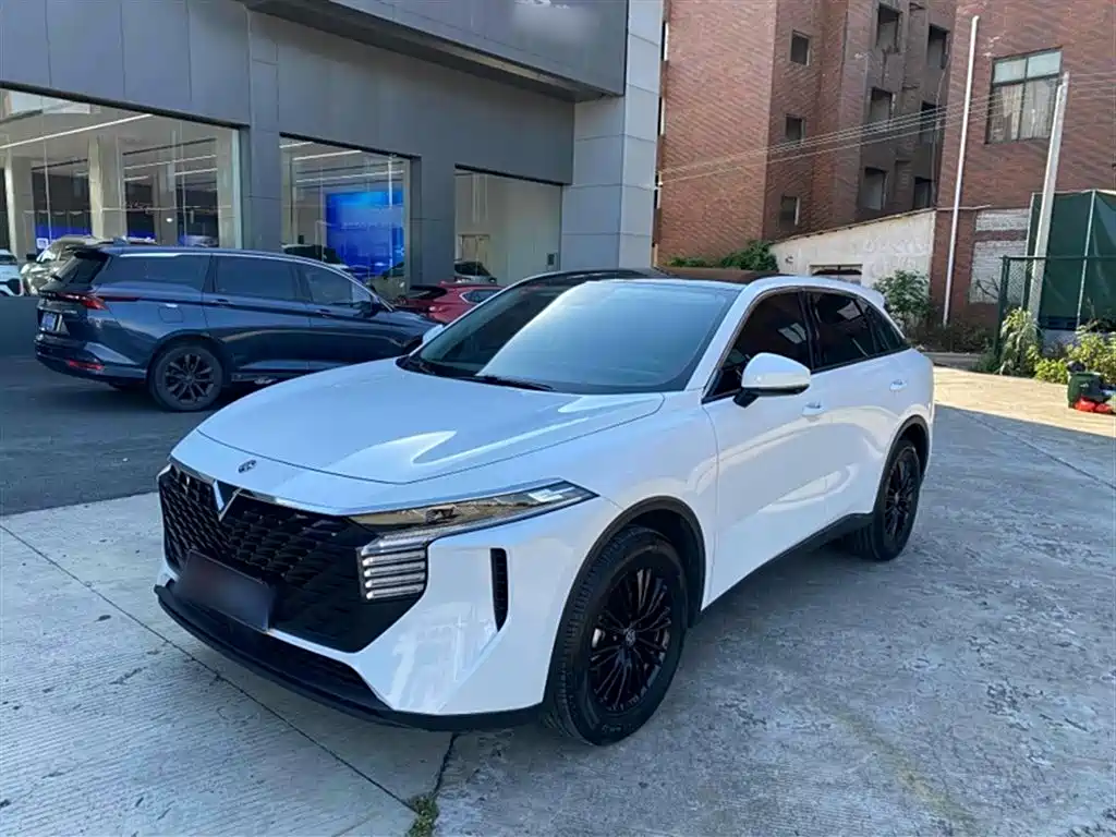 Qichen Big V 2023 260T Aidoo Edition Pro