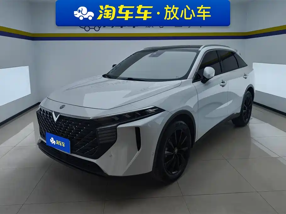 Qichen Big V 2021 260T Королевское издание